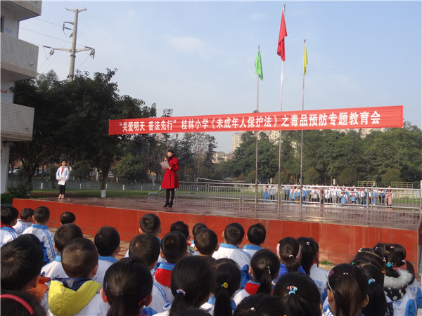 ����Сѧ��չ��δ�����˱�������֮��ƷԤ��ר�������