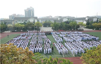 说明