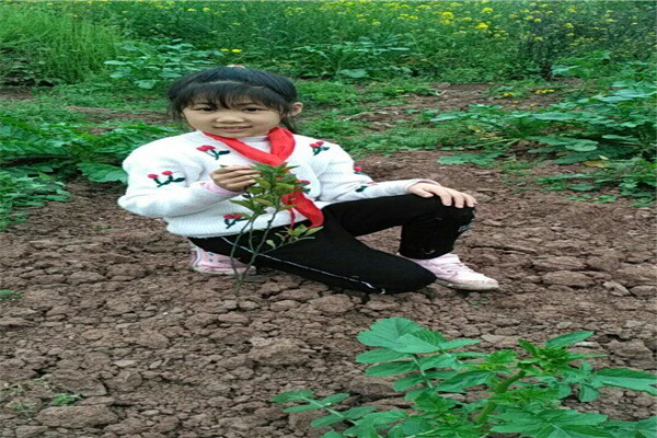Уչѧ׷桤·硱ֲ