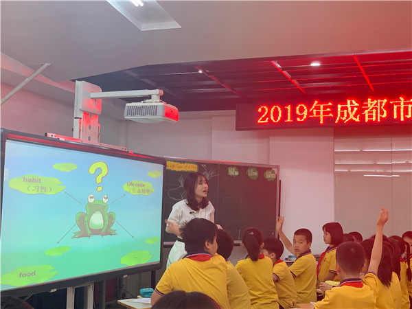 Сʦ2019Ӣ̲ѵ
