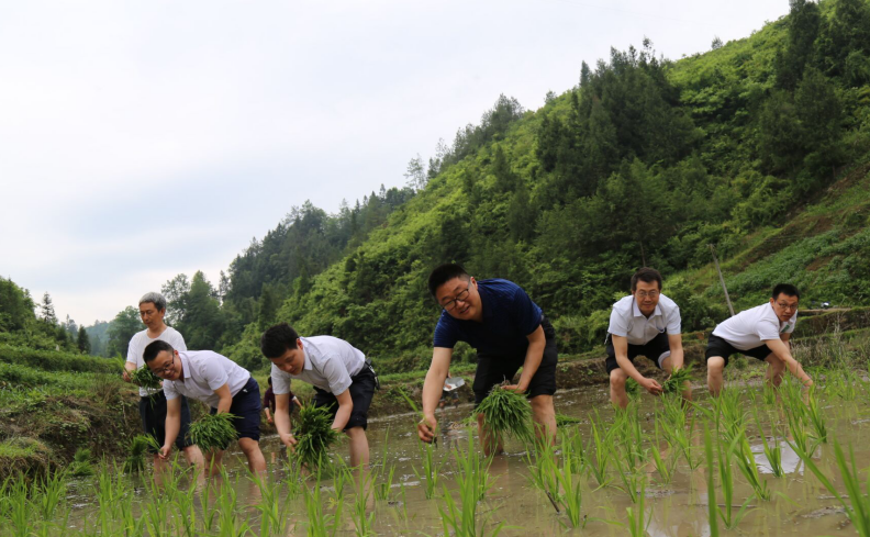 QQͼ20190520103545.png