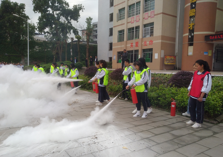 四川广安邻水九龙中学图片