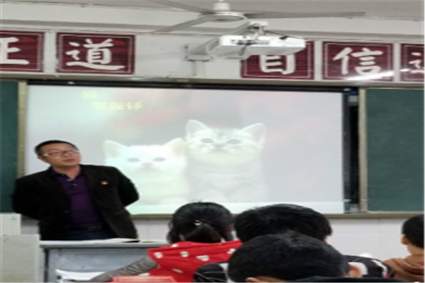 μѧչ  ٳɳ