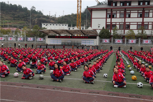 剑阁县龙江小学图片