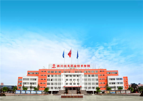 ĴְҵѧԺ2020굥м¹