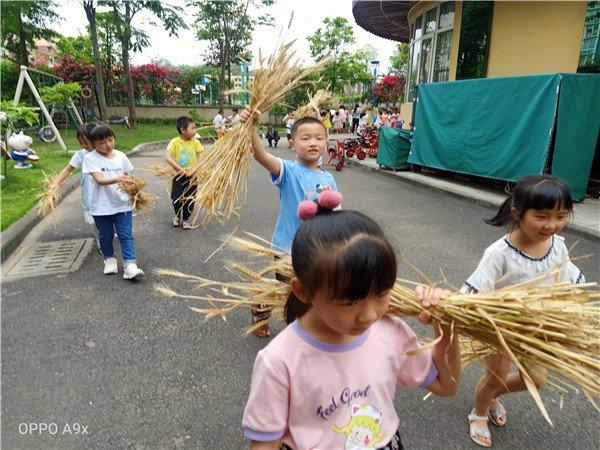 IMG20200508092942.jpg