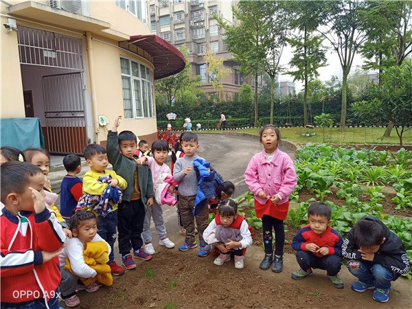 IMG20191107092802.jpg