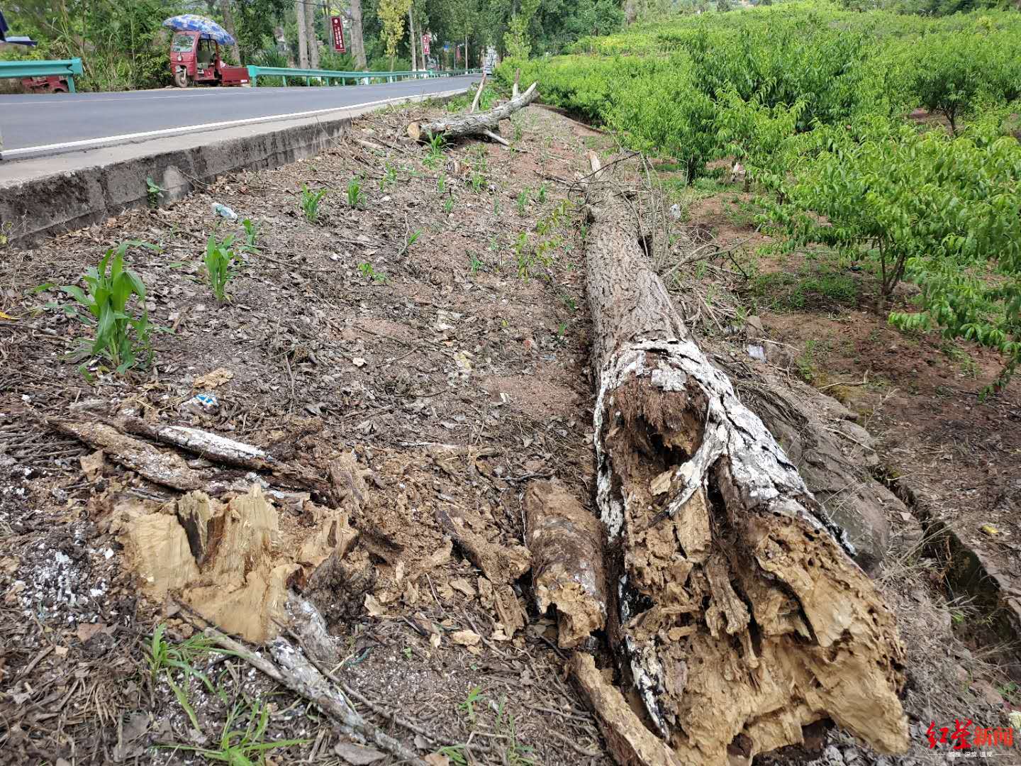 170f-iumkapw3544170.jpg
