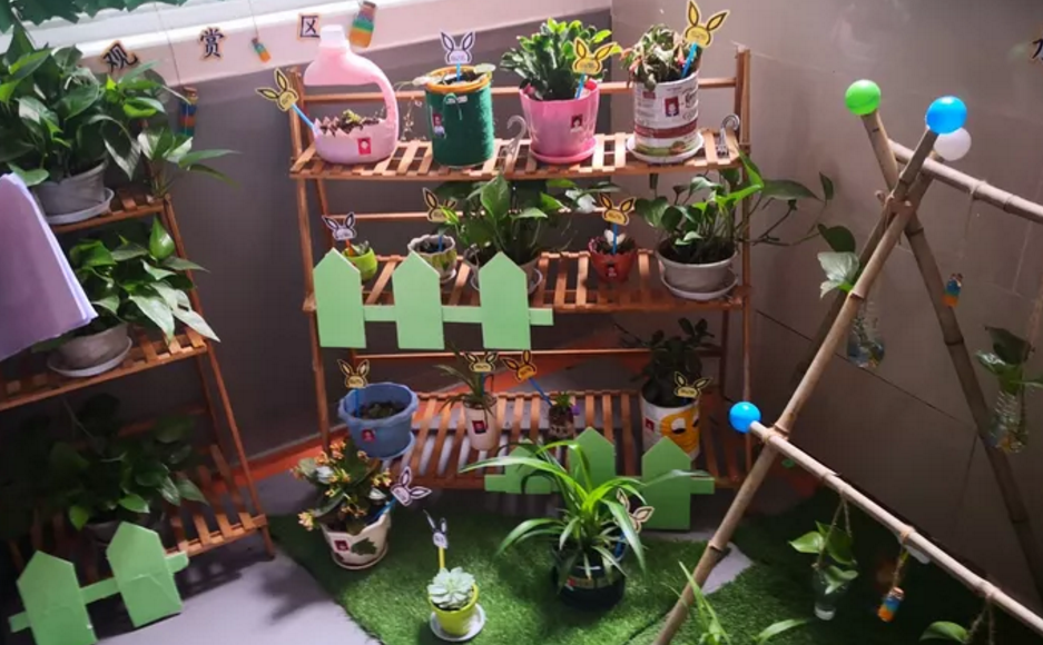 广安区浓洄幼儿园开展班级植物角主题墙观摩评比活动