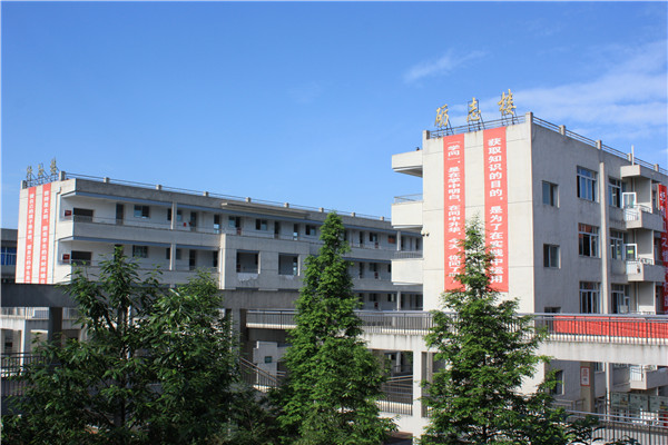 龙泉中学初中部图片
