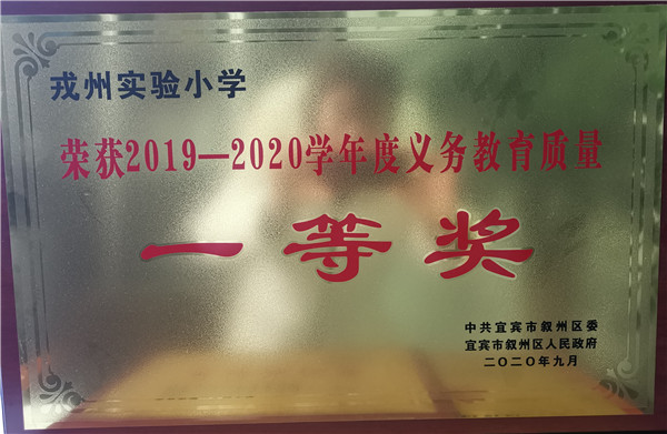 2020ʵСѧ10