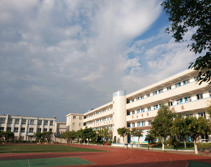 成都市成飞小学始建于1959年，坐落于成飞航空高科技社区内，占地23.4亩。学校原名国营峨嵋机械厂子弟小学，后随成飞公司名称变化，校名几经更改。2006年2月，学校移交成都市青羊区政府，以“成飞小学”为校名，这既保留了成飞子弟校历史的印记，也蕴含了“科技创新，追求卓越”的航空精神和文化底蕴，更赋予了学校对师生“成就·飞翔”的殷殷期待。 