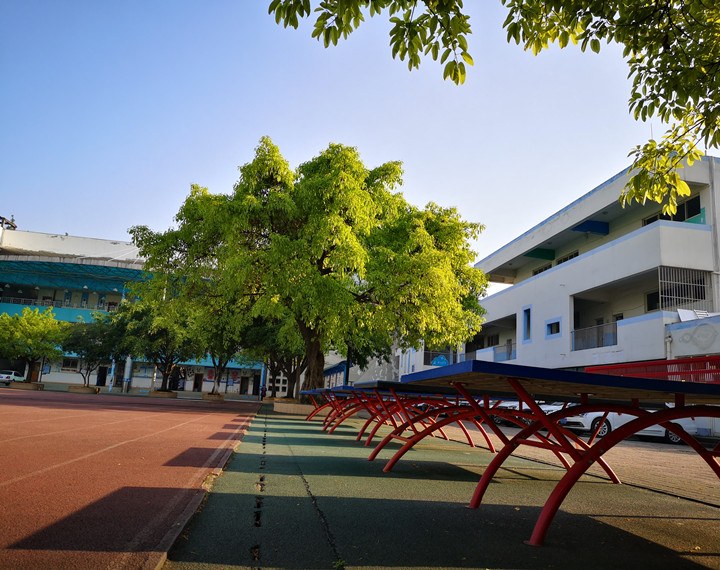 成都市成飞小学始建于1959年，坐落于成飞航空高科技社区内，占地23.4亩。学校原名国营峨嵋机械厂子弟小学，后随成飞公司名称变化，校名几经更改。2006年2月，学校移交成都市青羊区政府，以“成飞小学”为校名，这既保留了成飞子弟校历史的印记，也蕴含了“科技创新，追求卓越”的航空精神和文化底蕴，更赋予了学校对师生“成就·飞翔”的殷殷期待。 