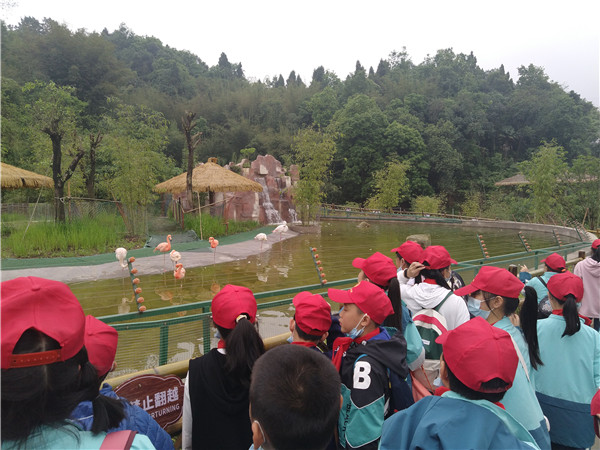 三江學校開展學子走進野生動物世界,開展研學旅行-四川教育在線網手機