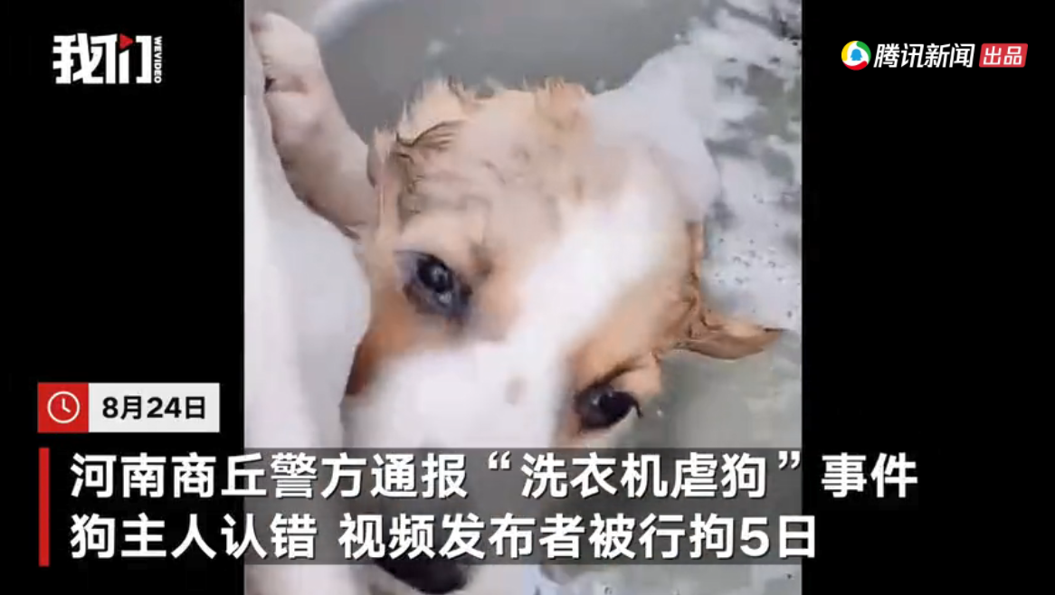 ͨѧŰϵ
