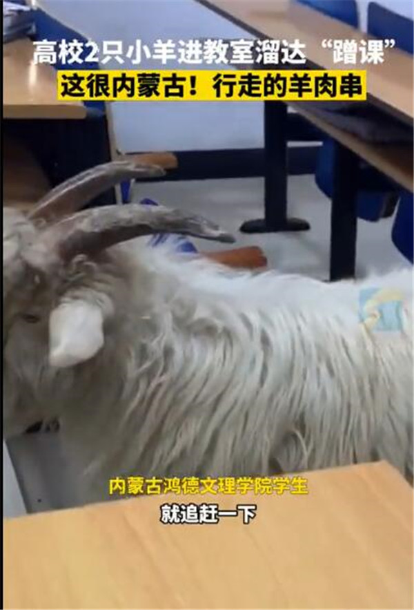 ɹţУ2ֻСҡΡ
