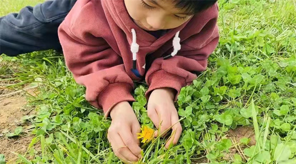 双减背景下 钟灵街小学开展亲子系列活动