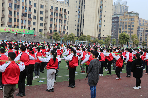 鵽Сѧع