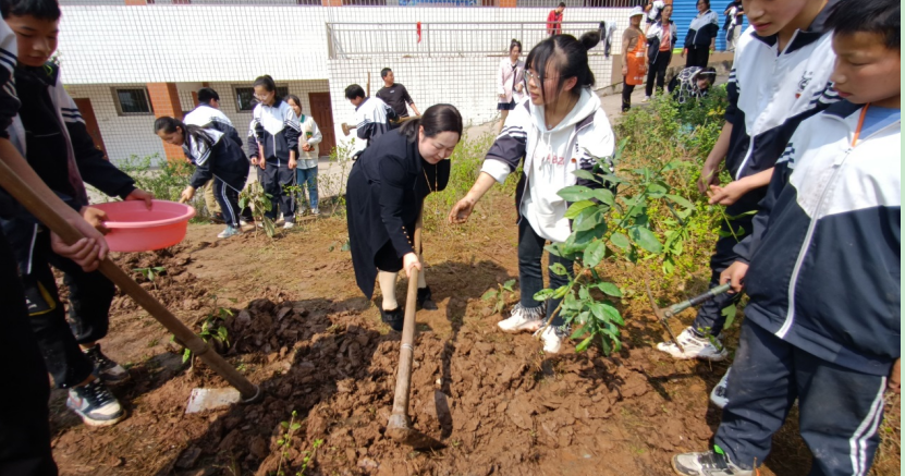 大竹县月华中学图片