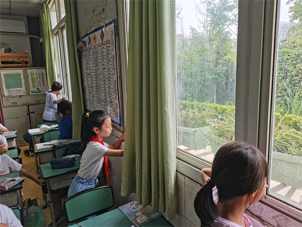 成都市杨柳小学图片