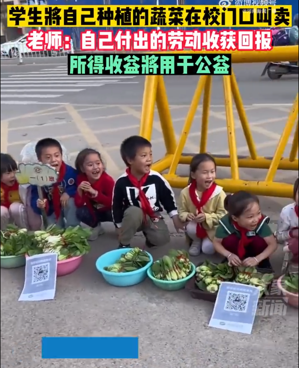 小学生校门口扎堆义卖自种蔬菜
