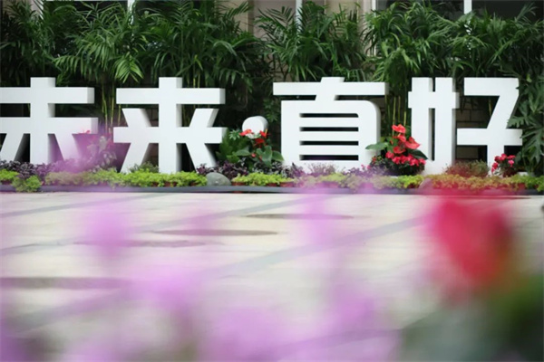 ѧǸСѧʦ߽ͽ硱