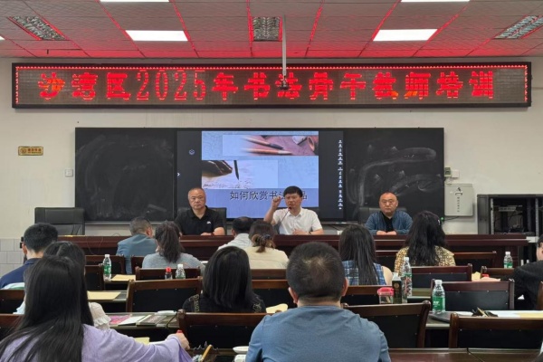 笔墨凝书香，撇捺展师魂 沙湾区举行2025年书法骨干教师培训