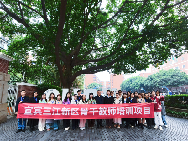 ˱ǸɽʦŶӵɻʵСѧѧϰ