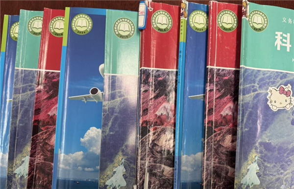 ۽ʵЧرСѧѧ鿪չڶѧ½ѧ