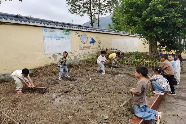 沙湾区牛石镇学校开展种植劳动实践活动