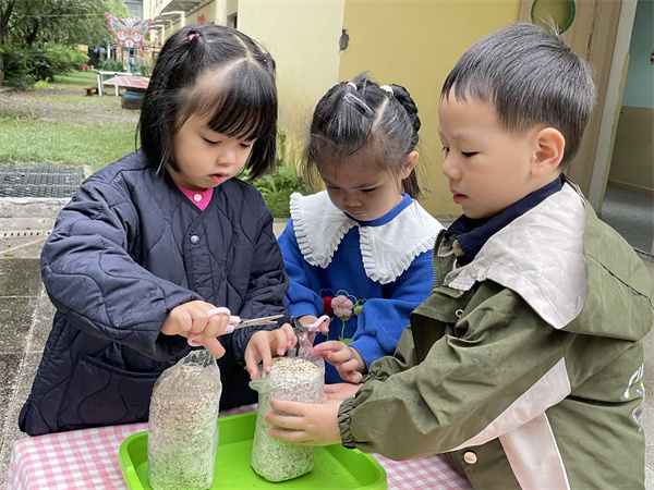 Ȼ֮ã׶԰̽ءĢСɡ