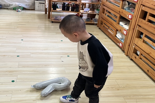 ɽʵ׶԰˳԰չȤζ˶