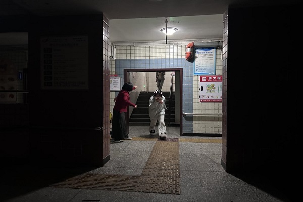 ��ɽ���������ѧУ��չ119������ȫϵ�л