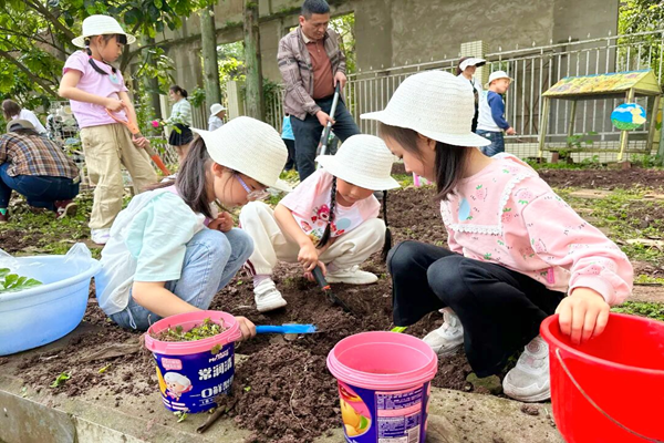 井研县东城幼儿园开展秋季亲子种植活动