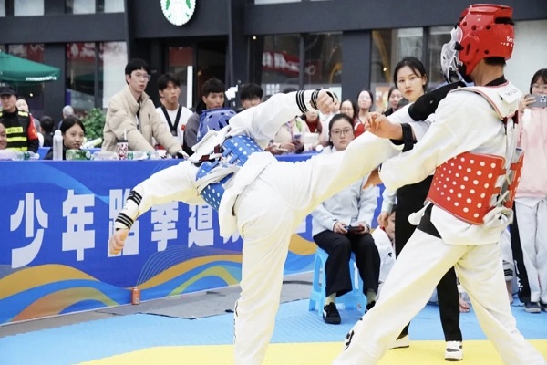 乐山市实验小学学子跆拳道喜获佳绩