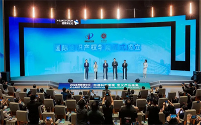 北大成立国际知识产权学院