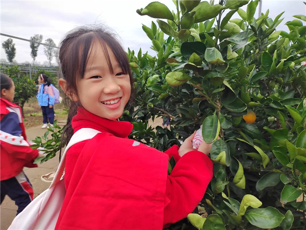 ߽ףСѧѧΪɳءʵģ