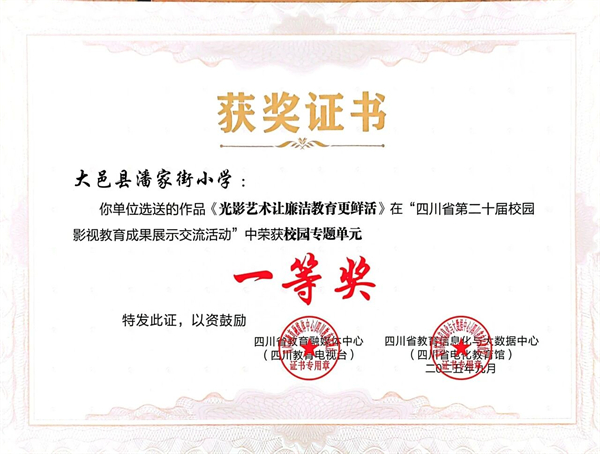 ʮ˼ҽСѧӰӽϲ˶ɹ