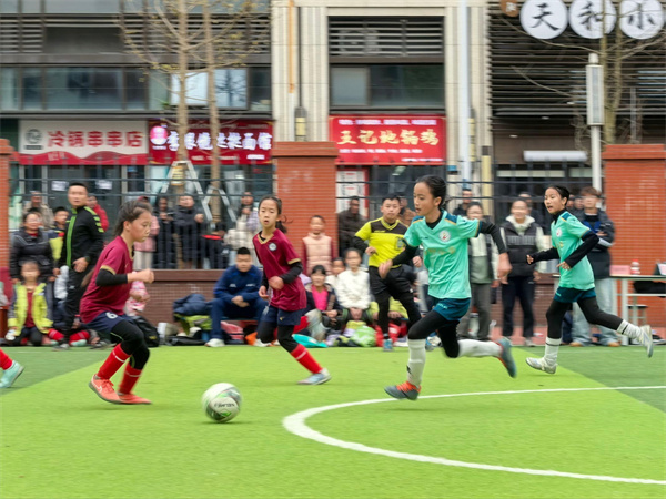 ˫ǿʶ˭ܼ᣿˫ˮСѧСӭսչâ