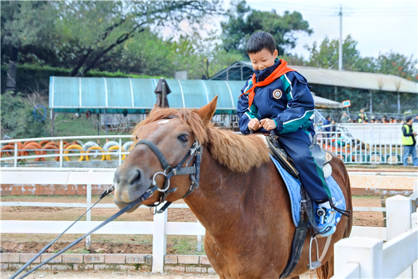 غѧУ꼶ѧӿȤζѧ֮