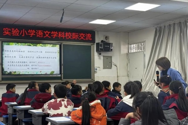 éСѧɽʵСѧѧУʽéСѧ