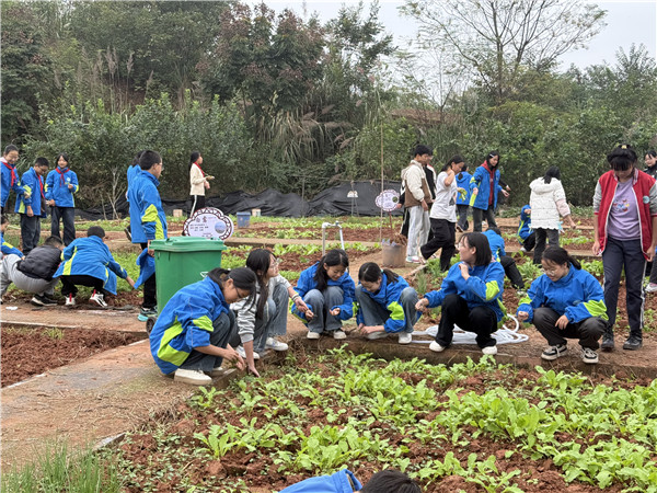 ֲǻʰҶܼѧУͶ˫򿪻