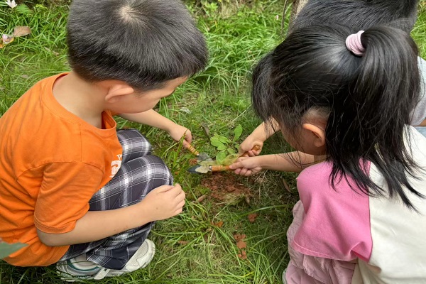 ɽʵ׶԰չ С  ̽