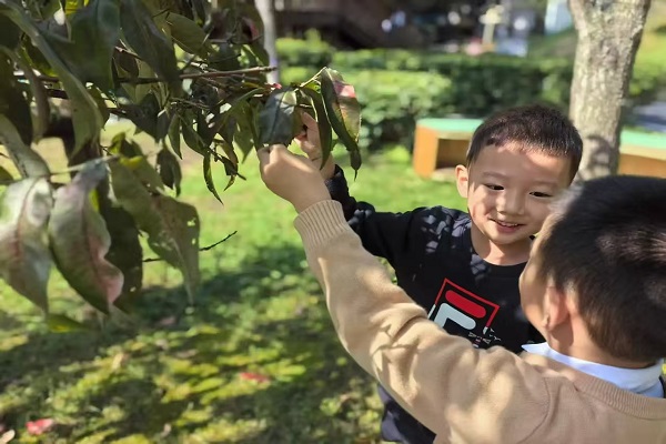 ��ɽ��ʵ���׶�԰�������Ҫ�׽���Ȼ