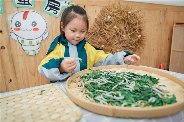 �����硱�����������������׶�԰�á�������Ϸ��������ġ�����