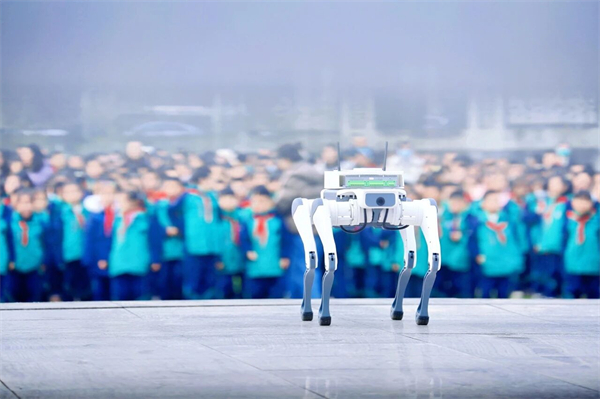 ��ʽ���࣡�������б���Сѧ����������������������