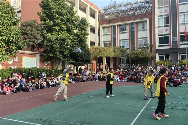 ���޲ٳ����ż������ż���Сѧ�����¡��š���������