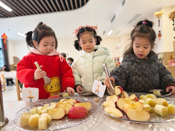 �ӡ��Ҳ��ᡱ�����ҿ��ԡ�����ɽ��ʵ���׶�԰С�������������ɼ�