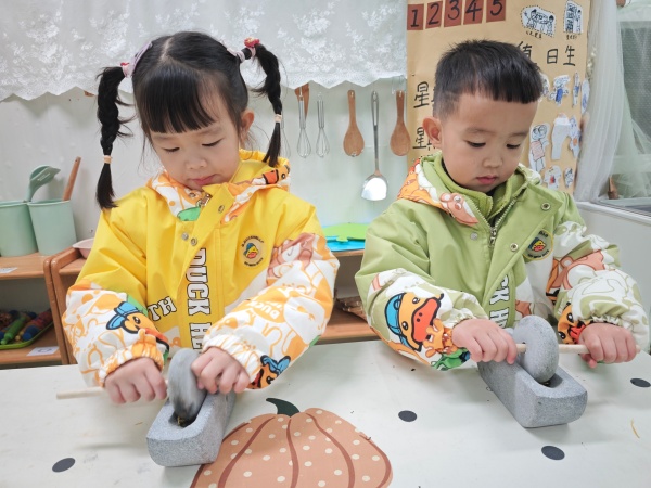 ��ɽ��ʵ���׶�԰�����ڲ������ơ���������