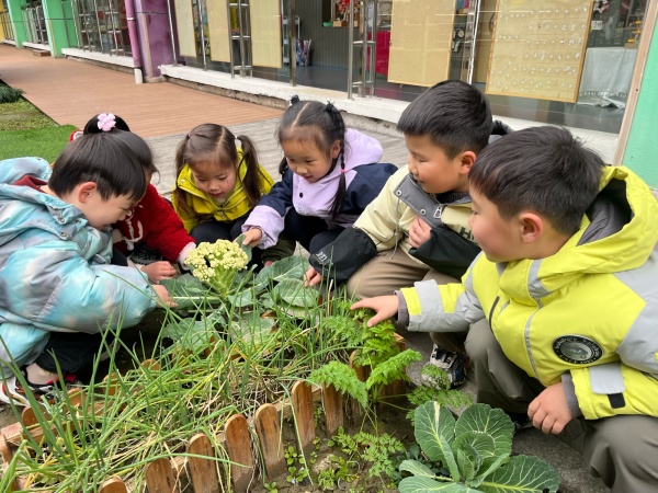 ��ɽ��ʵ���׶�԰���ף��߲�Ҷ������ô�ж���?